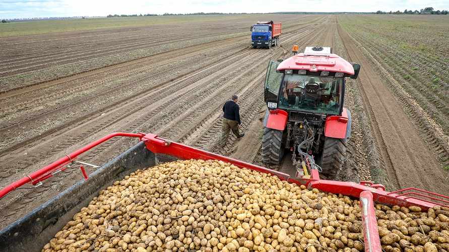 Фото иллюстрационное