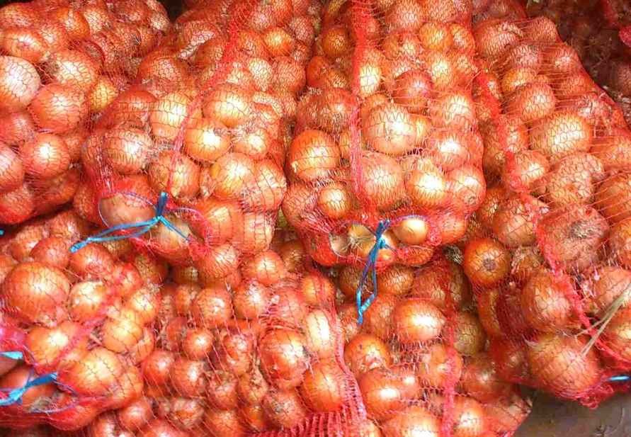 Как белорусам хранить лук, чтобы не сгнил и не пророс? Не кладите рядом эти 3 продукта