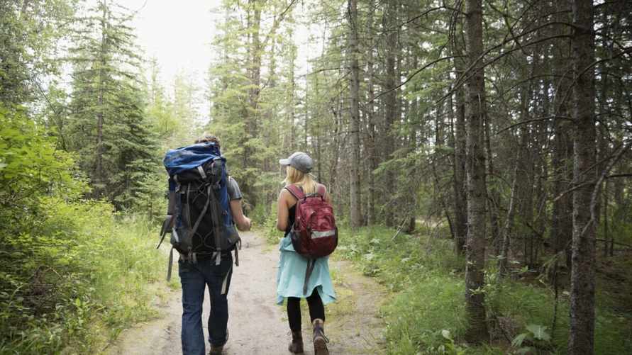 МВД составило список из 8 вещей, без которых белорусам лучше в лес не идти