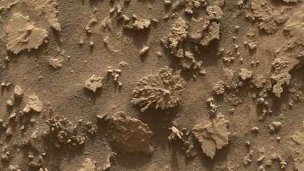 NASA опубликовало фото «коралла» на Марсе и объяснило происхождение