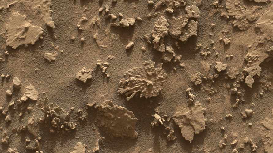 NASA опубликовало фото "коралла" на Марсе и объяснило происхождение
