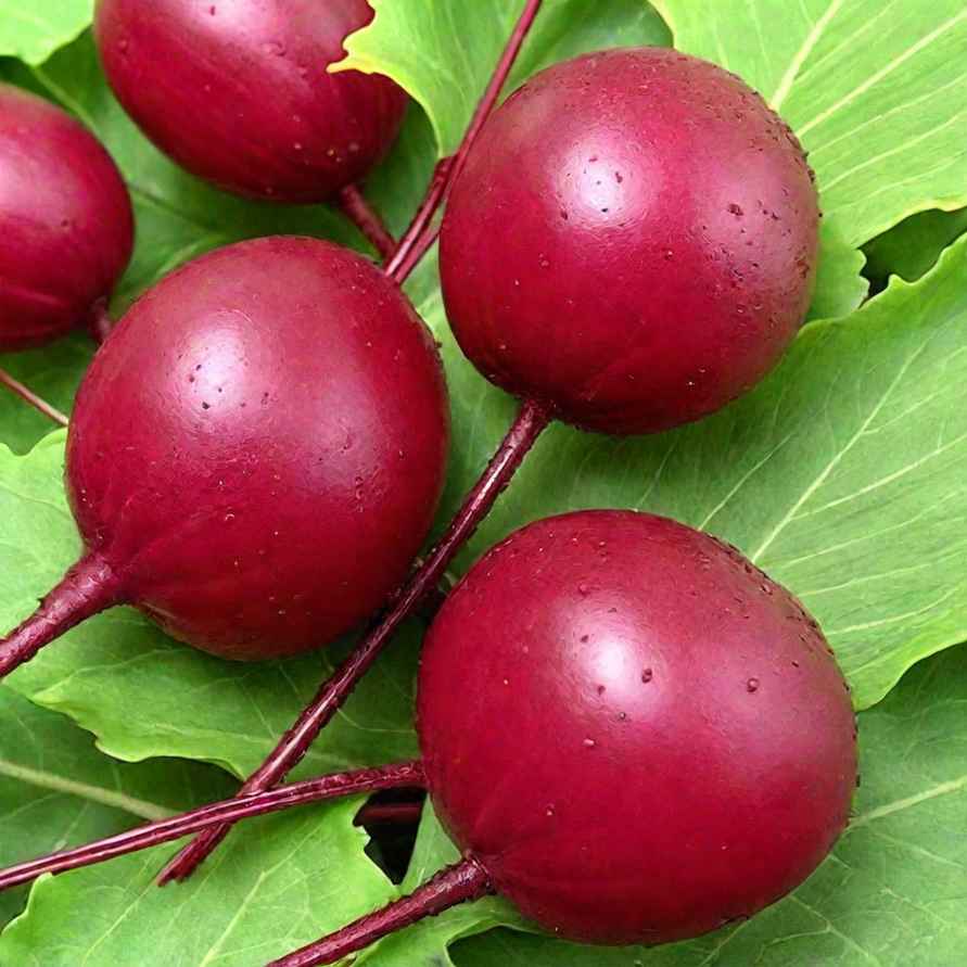 Садовод призвала посеять три вида семян прямо сейчас, чтобы получить хороший урожай осенью