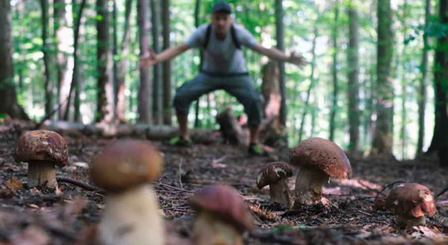 По словам Марты Вжосек, «чаще всего в белых