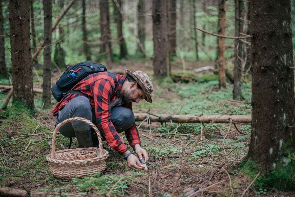 Фото иллюстрационное