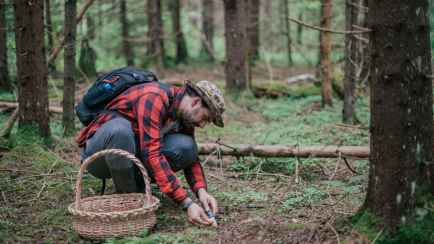 Беловежская пуща позвала любителей тихой охоты на фестиваль и объявила конкурс
