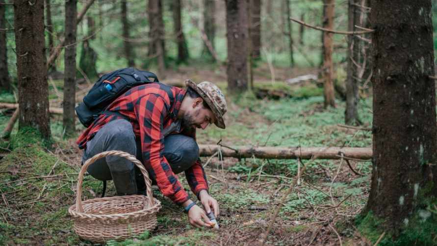 Фото иллюстрационное