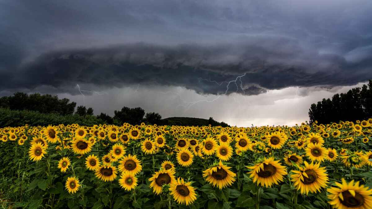 Синоптики пообещали белорусам влажность и "скромную" температуру на неделе. Где все же прогреет до +28°С?