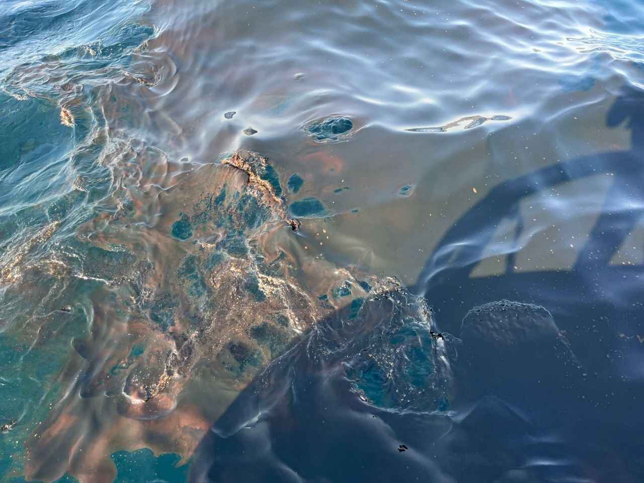 Фото иллюстрационное