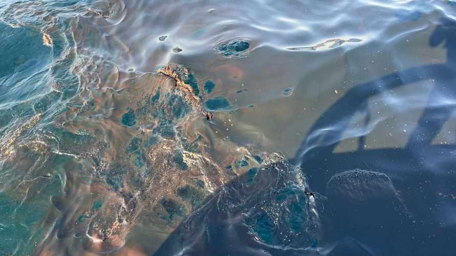 Фото иллюстрационное