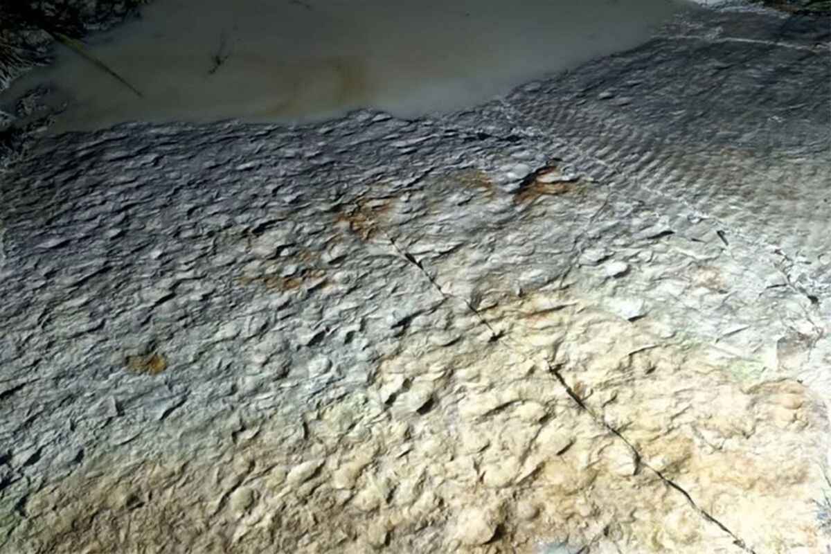 В Польше нашли следы животных возрастом 400 млн лет