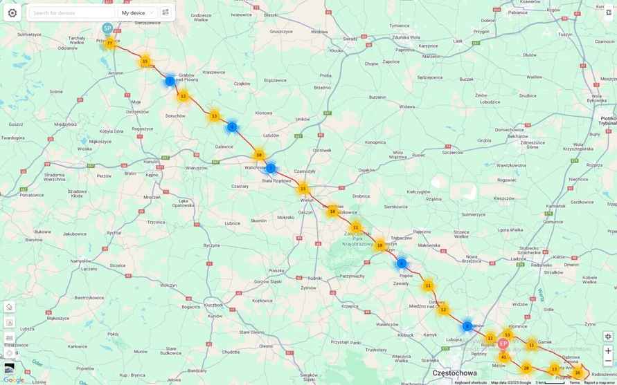 Сколько километров в день пролетают аисты по пути в Африку? Учёные устроили реалити-шоу с птицами