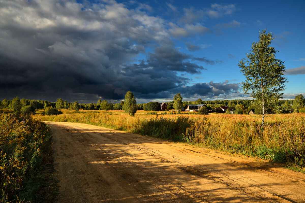 Где ждать от +16°C до +32°C? Синоптики предрекли белорусам стабильную нестабильность в начале августа
