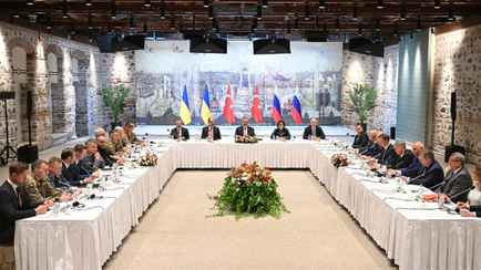 Источники Reuters назвали два возможных формата мирного договора по Украине