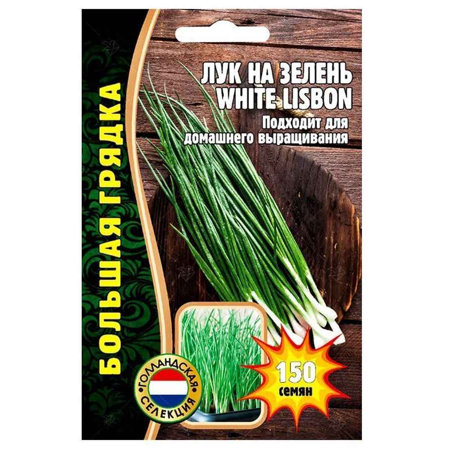 Садовод призвала посеять три вида семян прямо сейчас, чтобы получить хороший урожай осенью