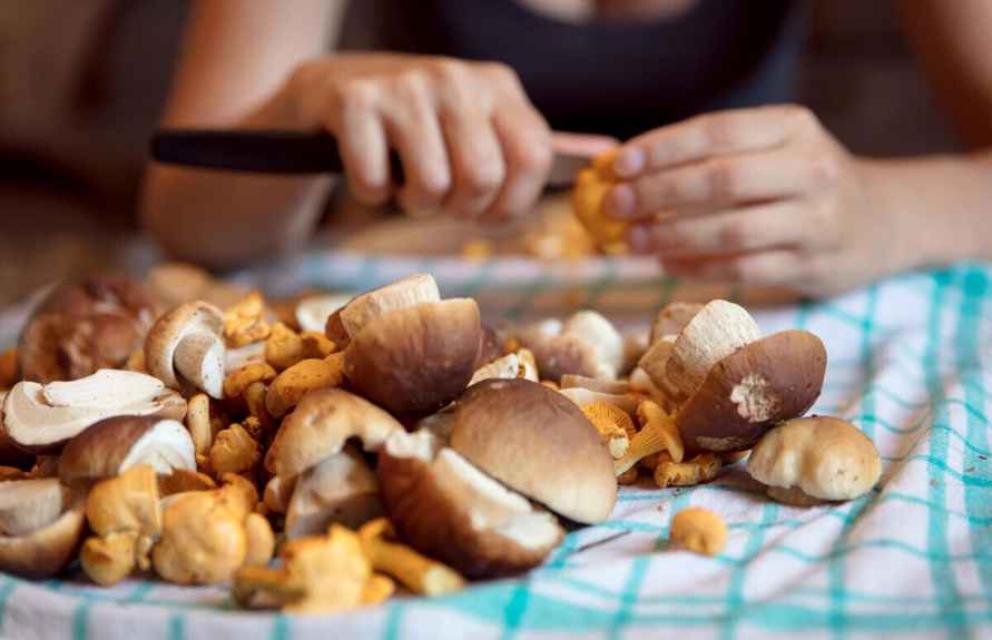 Эпидемиологи призвали белорусов не держать свежие грибы в такой посуде - даже в холодильнике