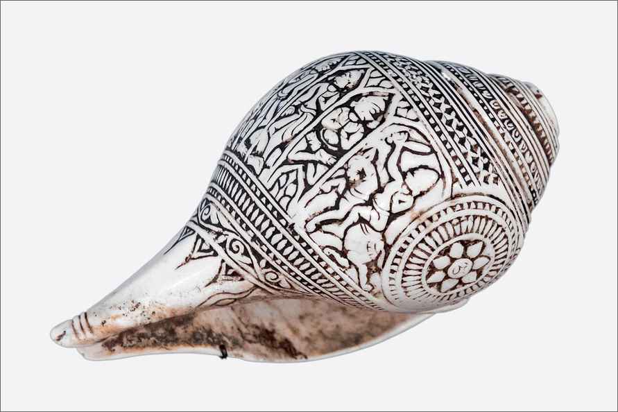 Ученые выяснили, как дудение в раковину поможет спать лучше