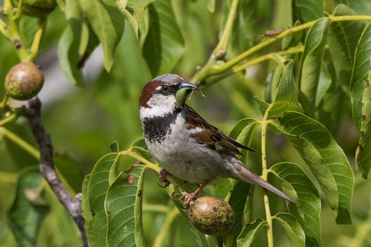 Фото иллюстрационное