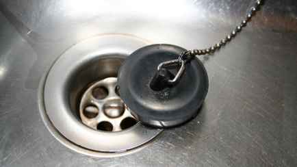 Энтомологи назвали причину, по которой белорусам лучше затыкать сливы в раковинах перед отъездом