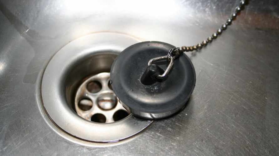 Энтомологи назвали причину, по которой белорусам лучше затыкать сливы в раковинах перед отъездом