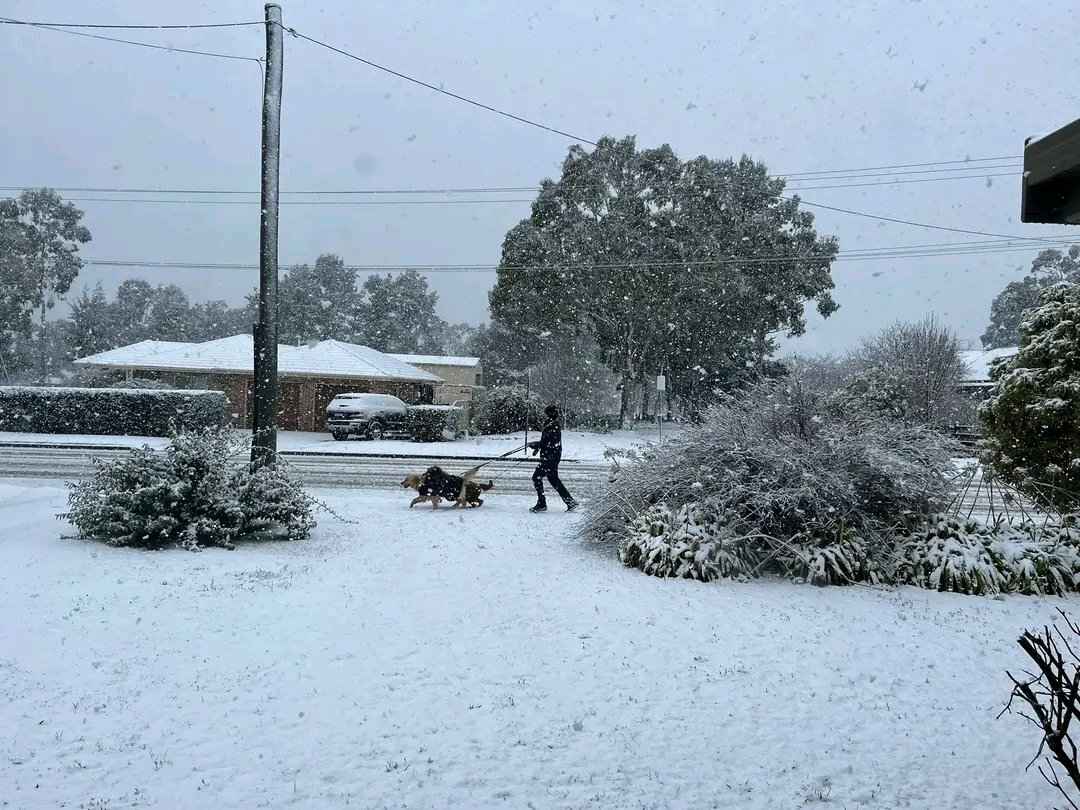Австралию накрыло 50-сантиметровым слоем снега
