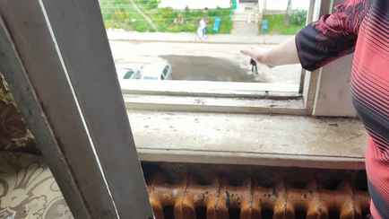 В Поставах женщина выбросила кота в окно и получила уголовку