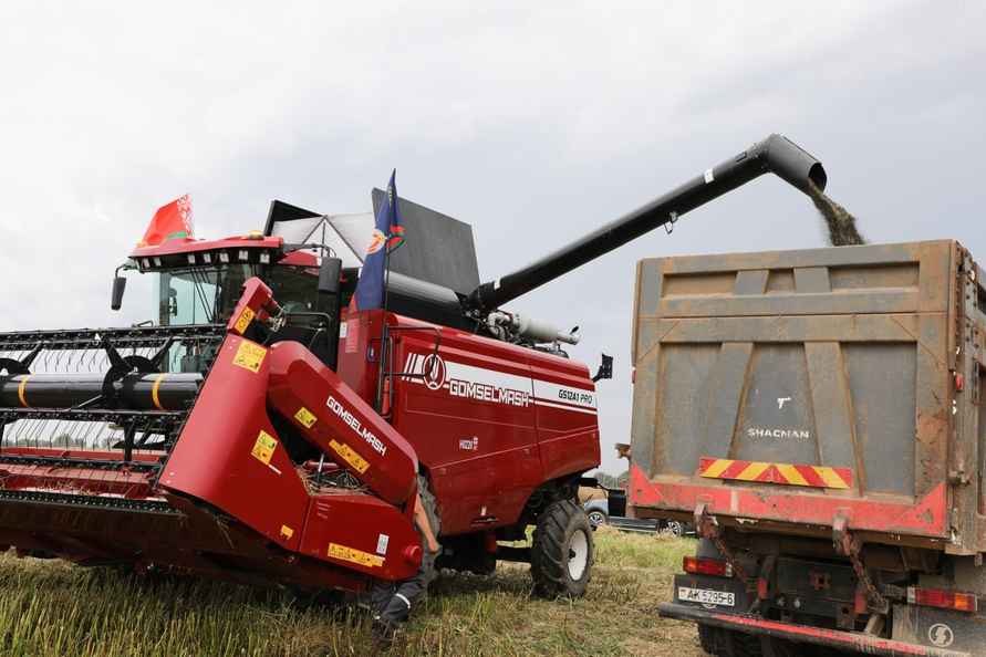 В МВД рассказали, кого из милиционеров кроме сыщиков отправили убирать урожай