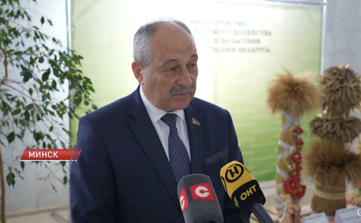 В Минсельхозпроде пообещали рекордный урожай в Беларуси - "Заявляю ответственно"