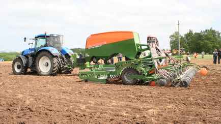 Литовские фермеры предупредили о критической ситуации с картошкой и овощами — «Просто тонут»