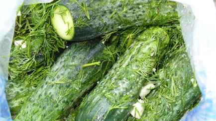 Как быстро засолить огурцы в пакете? Есть можно уже на следующий день