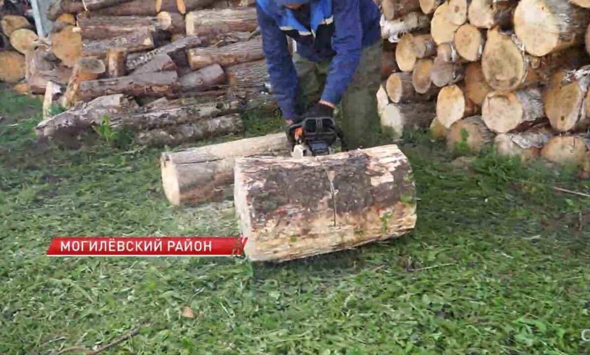 В Минлесхозе рассказали куда отправляют поваленный недавними ураганами белорусский лес