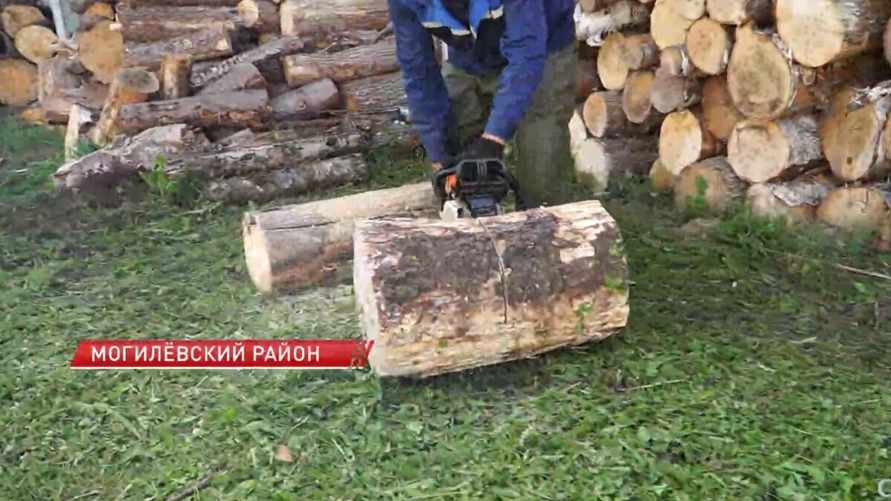 В Минлесхозе рассказали куда отправляют поваленный недавними ураганами белорусский лес