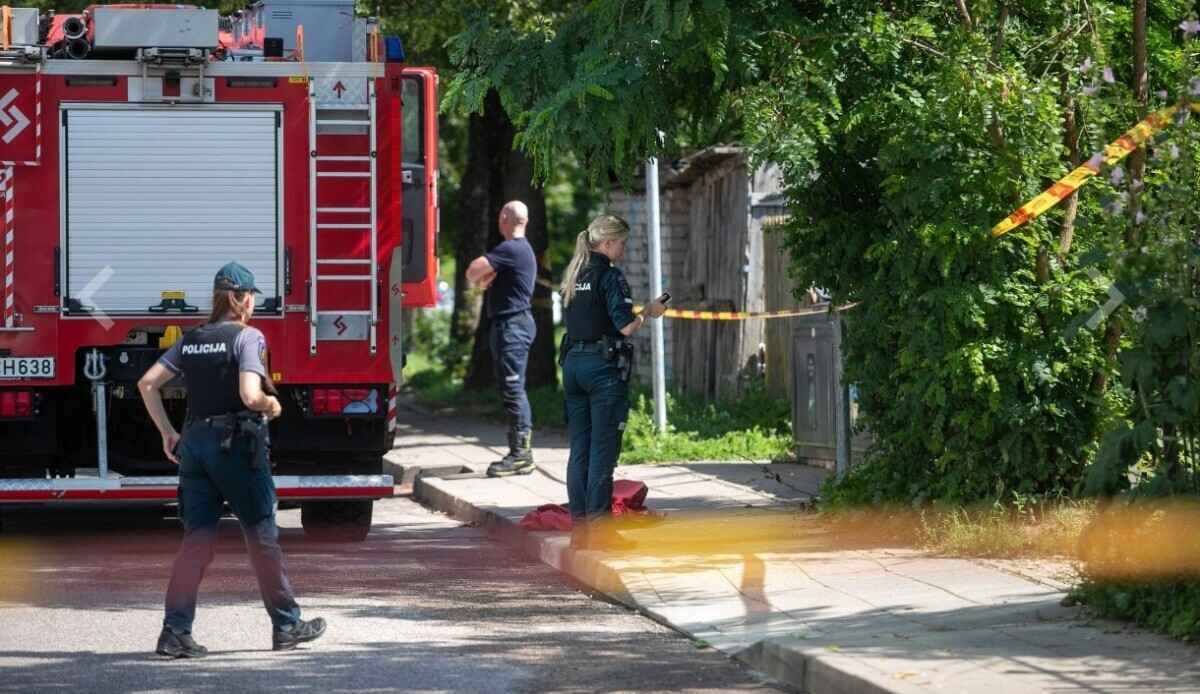 В Вильнюсе в мусорке нашли расчлененное тело мальчика