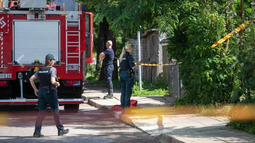 В Вильнюсе в мусорке нашли расчлененное тело мальчика