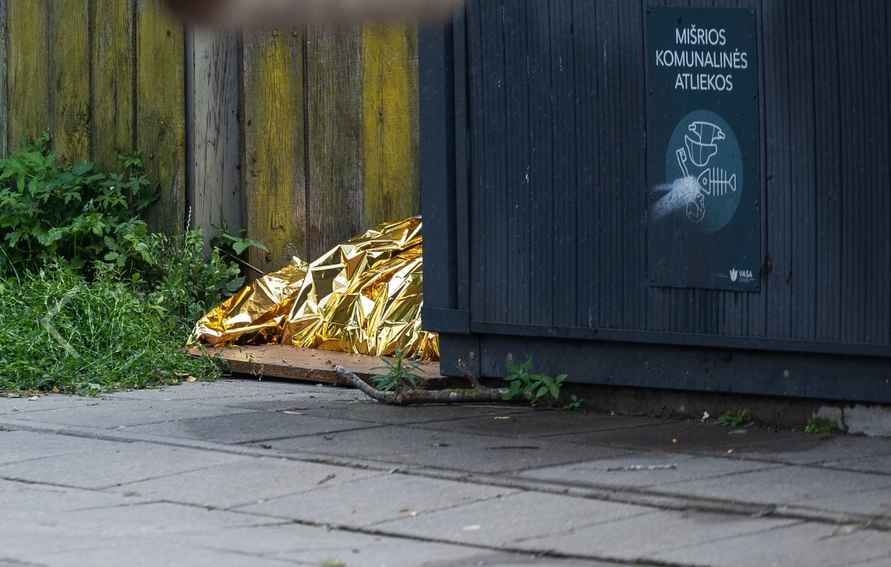 В Вильнюсе в мусорке нашли расчлененное тело мальчика