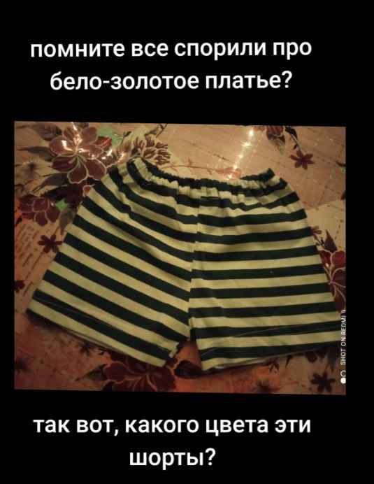 Помните бело-золотое платье? Теперь люди спорят, какого цвета эти шорты