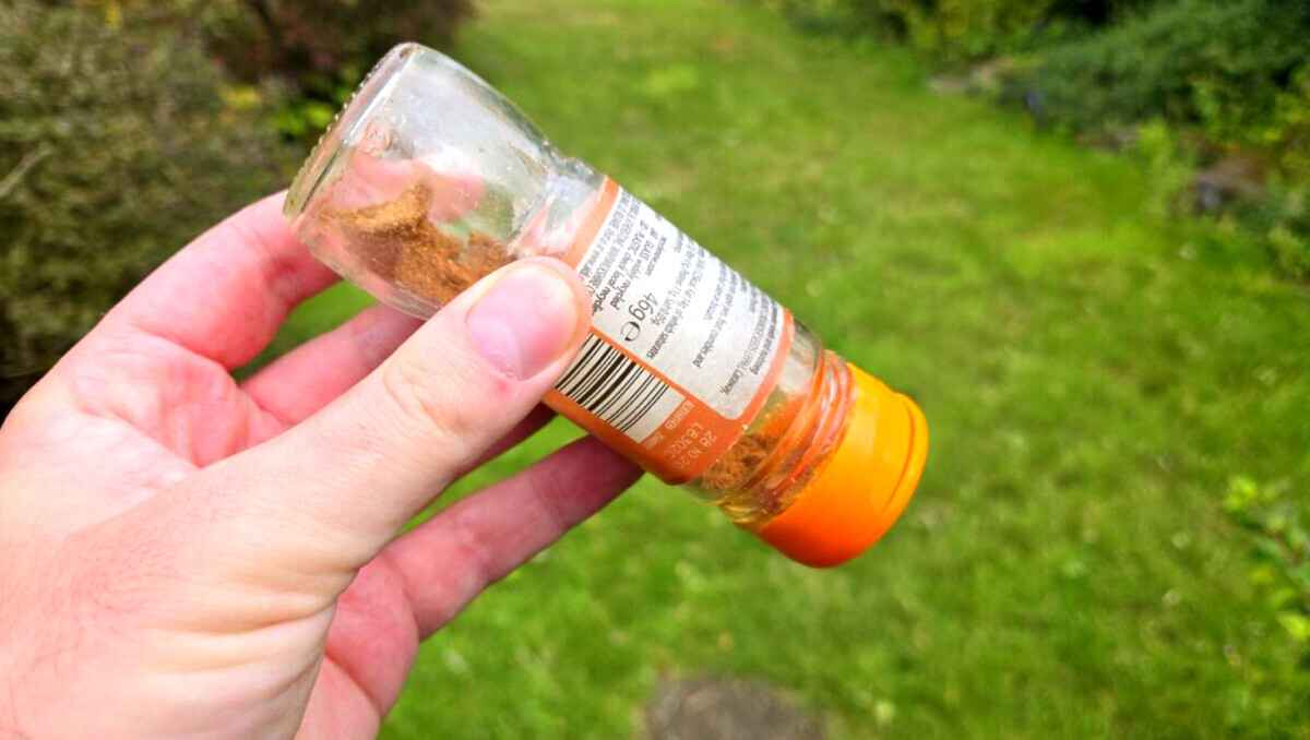 Фото: express.co.uk