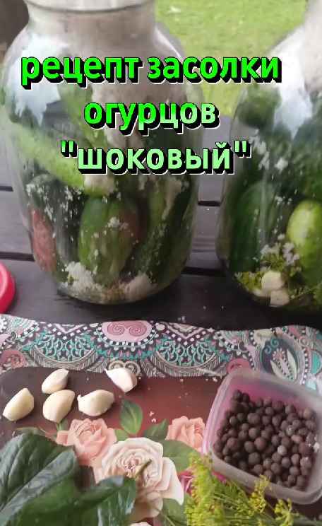 Рецепт шоковой засолки огурцов набрал более полумиллиона просмотров в TikTok