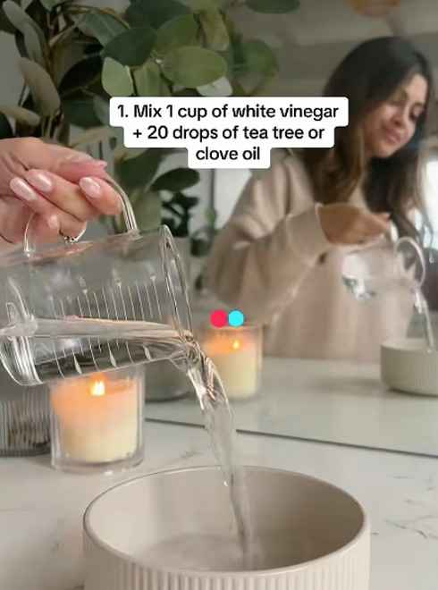 Эксперт по уборке посоветовала домашнее средство из 2 ингредиентов, чтобы избавиться от плесени в манжете стиралки