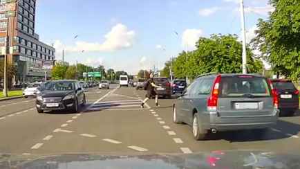 «Лучшая реклама» — Видео ДТП с пешеходом, машинами и милиционерами в Минске вызвало вопросы