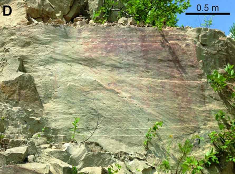 На фото - исследуемый слой песчаника с косой слоистостью (образец в полевых условиях).