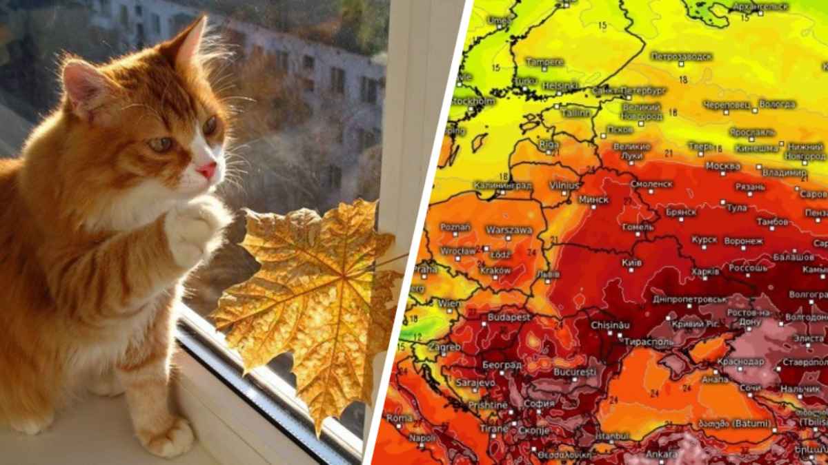 Рябов спрогнозировал начало климатической осени. А когда белорусам ждать «всплеск» 30-градусной жары?