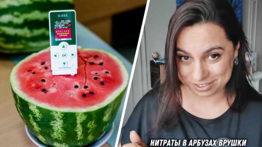 Химик объяснила, почему приборы, измеряющие нитраты в арбузах, "врут"