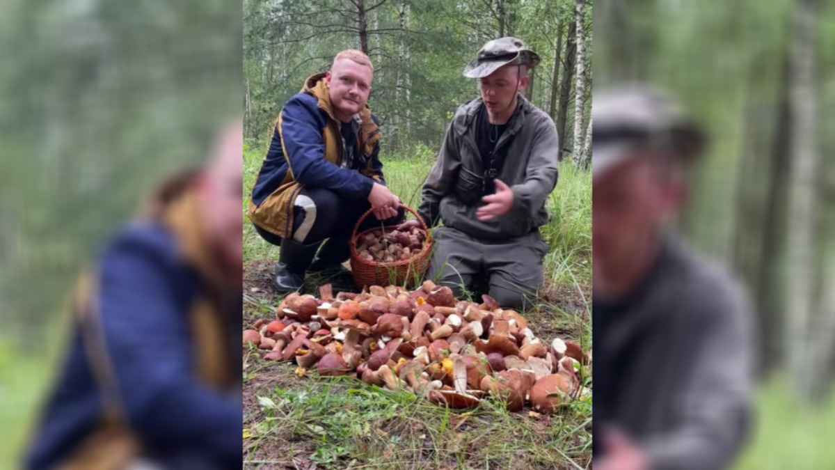 Грибники объявили, что в Беларуси боровики "пошли полянами". Где больше всего?
