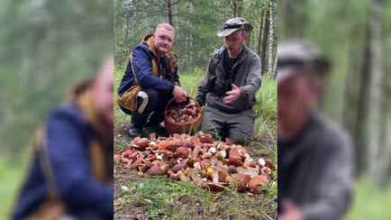 Грибники объявили, что в Беларуси боровики «пошли полянами». Где больше всего?
