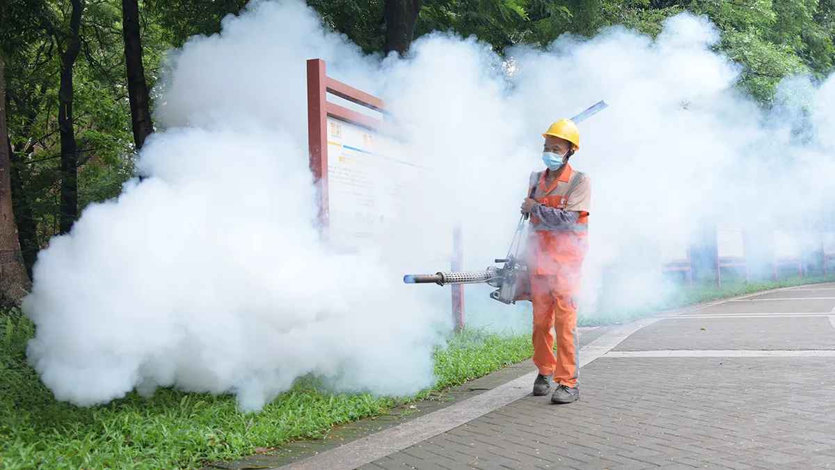 В Китае уже более 7 тыс. человек заразились новым вирусом Чикунгунья. Его переносят комары