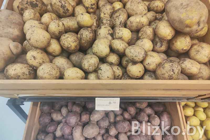 В Минске начали продавать молодую картошку за 78 копеек за кг