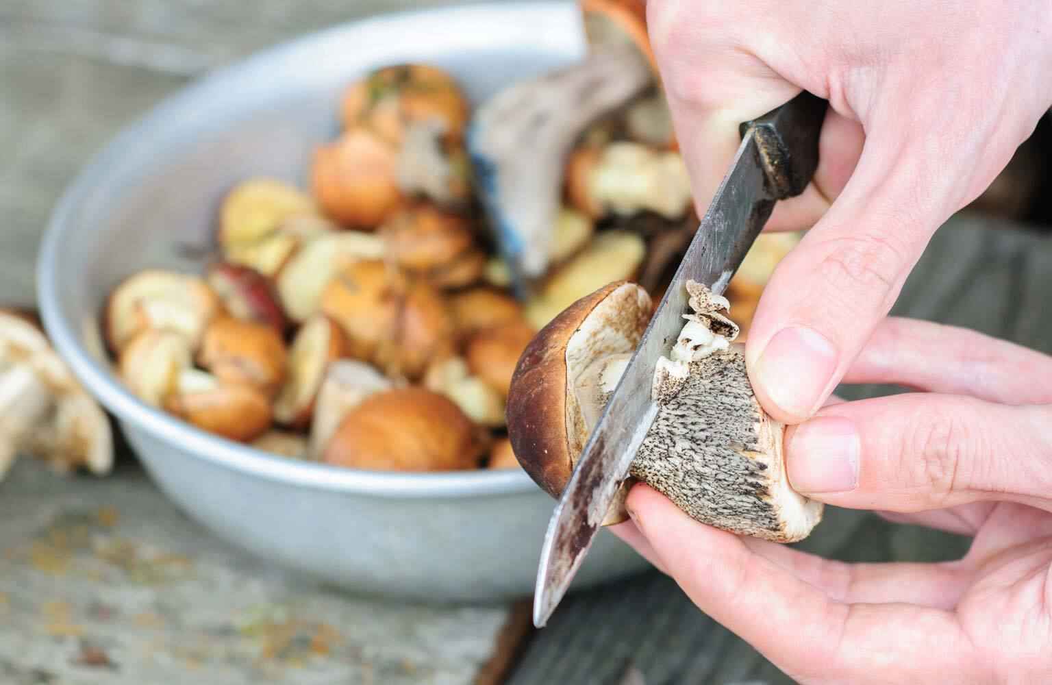 Эпидемиологи призвали белорусов не держать свежие грибы в такой посуде - даже в холодильнике