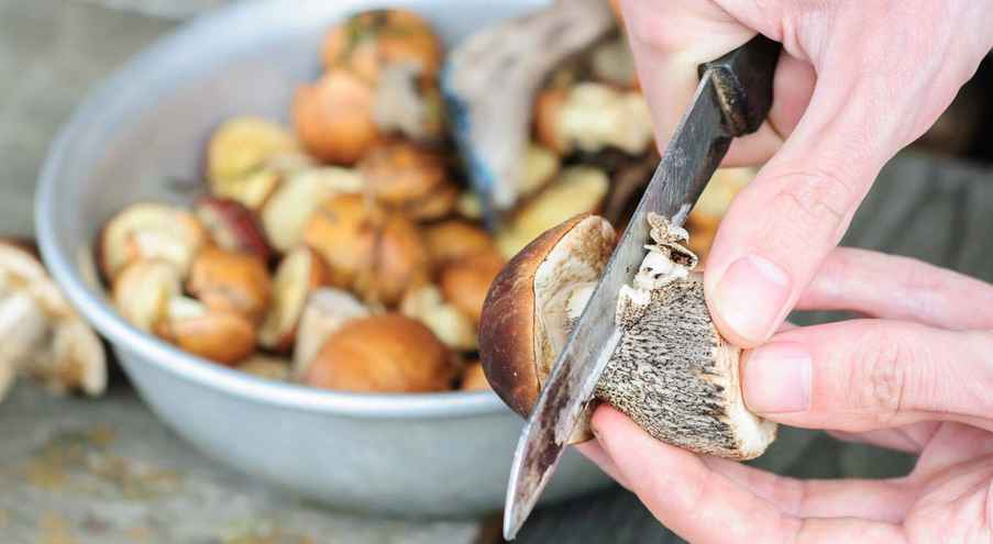 Так, по словам эпидемиологов, во-первых нужно собирать только