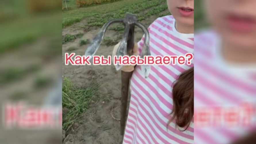 "Драпач" - Сотни белорусов по-разному назвали этот огородный инструмент. А как называете вы?