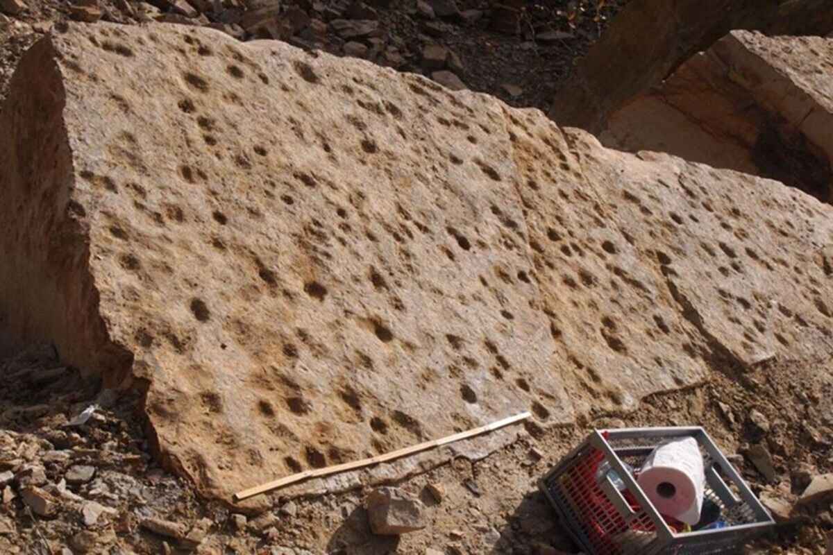 В Польше нашли следы животных возрастом 400 млн лет